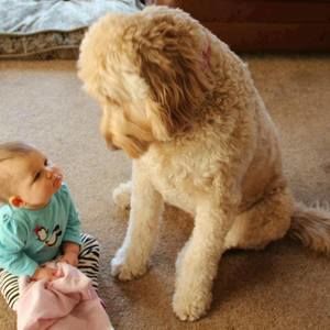 Meet your Posher, Daljit kaur